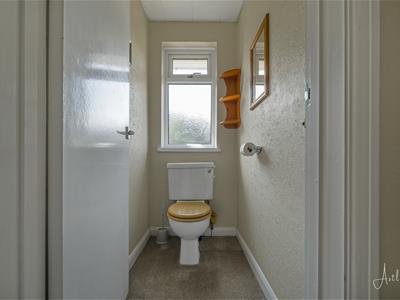 Picture 20